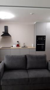 een woonkamer met een bank voor de keuken bij Ianmamaia in Mamaia