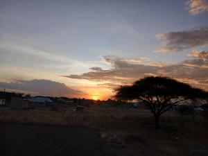 Billede fra billedgalleriet på Patience Airport cottages i Boma la Ngombe