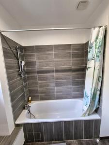 Koupelna v ubytování Séjour nature et cosy à 2 pas du Lac des Sapins + 13 fotografií