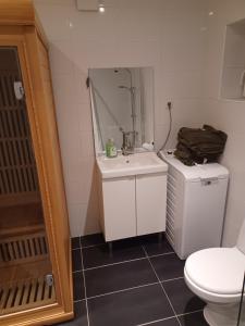 Un baño con lavabo, inodoro y espejo. en Önnestad guest house, en Önnestad 6 fotos más