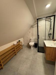 a bathroom with a shower and a toilet and a sink at Chaloupka Příchovice in Kořenov