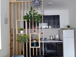 a kitchen with a shelf with potted plants in it at Suncokret in Kruševac