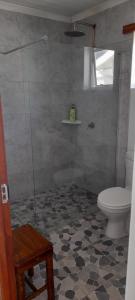 アグラスにあるWafraのトイレとガラスのシャワー付きのバスルーム