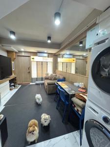 Køkken eller tekøkken på WannaB Hostel