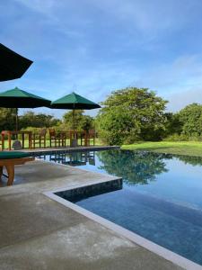 Πισίνα στο ή κοντά στο Raalmadu Wilpattu