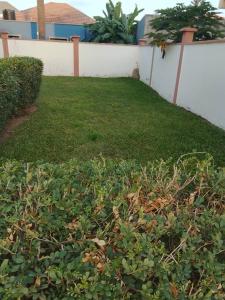 セレクンダにあるParadise Viewの緑の植物と白い壁のある庭