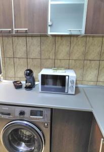 un microondas sentado en un mostrador junto a una lavadora en Garsoniera Mihaela, en Craiova