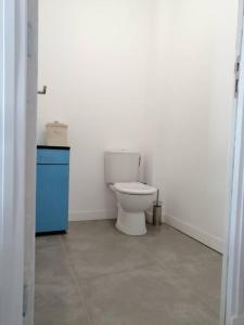 een badkamer met een toilet en een blauwe kast bij A 100 m de la grande plage à Saint-Lunaire in Saint-Lunaire +16 foto's