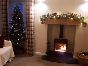 a living room with a fireplace and a christmas tree at Eagles Gate Lodge in Banff