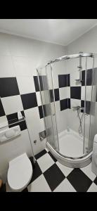 Un baño con ducha, inodoro y lavabo. en TM Apartment Prijedor, en Prijedor