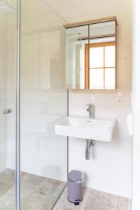 Un baño con lavabo y ducha en Das Nest, en St. Wolfgang