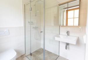 Un baño con ducha de cristal y lavabo. en Das Nest, en St. Wolfgang 13 fotos más
