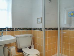 a bathroom with a toilet and a shower at Nell's Cottage in Askam in Furness +2 photos