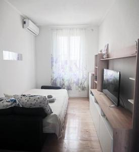 TV a/nebo společenská místnost v ubytování Paradis