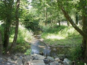 SwimbridgeにあるKingfisher - 30788の木岩の小川 +1枚の写真