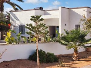 a white house with palm trees in front of it at Tezdaine's garden in Bin Rhilouf
