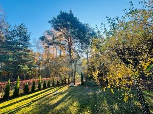 Κήπος έξω από το House on the edge of forest by Zalew Sulejowski +15 φωτογραφίες