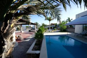 Bazén v ubytování The Colony La Ventana nebo v jeho okolí