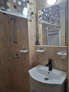 ein Badezimmer mit Waschbecken, Dusche und Spiegel in der Unterkunft LaCriss in Hunedoara
