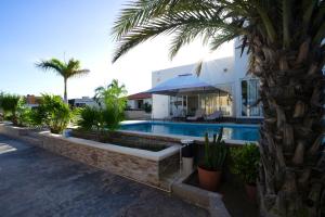 a villa with a swimming pool and a palm tree at The Colony La Ventana in La Ventana