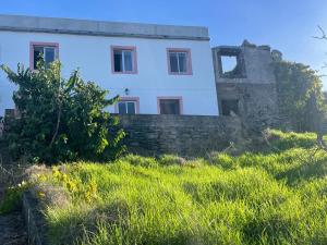 Κήπος έξω από το Ocean Studio