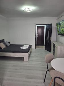ein Schlafzimmer mit einem Bett und einem Tisch und Stühlen in der Unterkunft LaCriss in Hunedoara + 6 Fotos