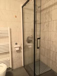 a glass shower in a bathroom with a toilet at Cazare La Cetate in Moşna +24 photos