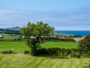 a tree in a field with the ocean in the background at The Bickney in Llanrian +10 photos
