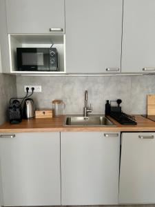 Η κουζίνα ή μικρή κουζίνα στο Prague Airport Apartment