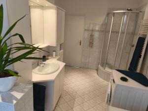 Koupelna v ubytování SilberhErz