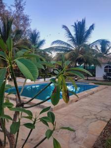Gallery image of Villa Paradise in Diani Beach