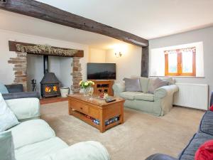 ein Wohnzimmer mit zwei Sofas und einem Kamin in der Unterkunft Four Seasons Cottage in Langtree