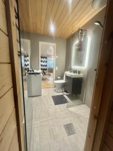 a bathroom with a toilet and a sink at Elegant apartment with Sauna in the center in Rovaniemi +50 photos