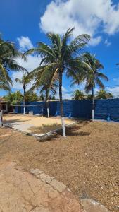 eine Gruppe von Palmen neben dem Meer in der Unterkunft Casa de praia com área de lazer in Nísia Floresta