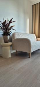 ブスコ・ズドロイにあるSłoneczny Ogródekの鉢植えのソファ