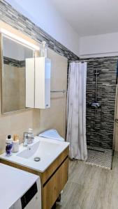 a bathroom with a sink and a shower at Apartament Complex Rezidential Magnolia Bariera Valcii in Craiova +7 photos