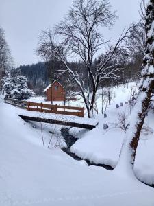 un campo cubierto de nieve con una casa y una valla en Mała Bośnia, en Bystrzyca Kłodzka 4 fotos más