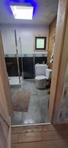 Un baño con inodoro, ducha y lavabo. en Mała Bośnia, en Bystrzyca Kłodzka