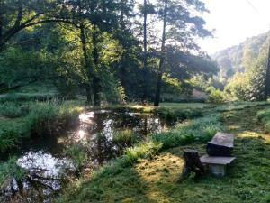 a bench sitting in the grass next to a pond at Mała Bośnia in Bystrzyca Kłodzka