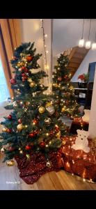 a christmas tree on the floor in a living room at La Coccinelle, votre Oasis entre Paris-Disney in Ozoir-la-Ferrière