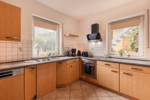 メンディヒにあるVulkan-Suiteの木製のキャビネットとシンクと窓のあるキッチン