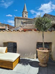 a potted tree sitting on the roof of a building at LE ROOFTOP PROVENÇAL in Taulignan