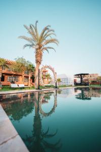 a palm tree sitting next to a swimming pool at MVIEW Villas in Marrakech