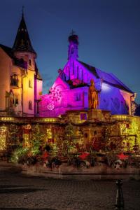 Fotografie z fotogalerie ubytování L'Adresse Studio Rempart sud - centre historique Eguisheim v destinaci Eguisheim