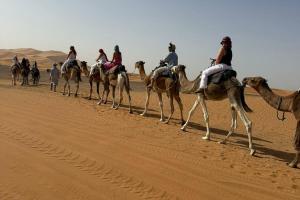 a group of people riding on camels in the desert at Desert house in Merzouga