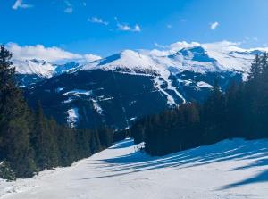 巴德加斯坦Susis Alpen Apartment的享有雪覆盖的山脉和树木的景色 更多8张照片