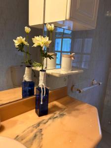 a bathroom with two vases with flowers on a counter at La casita de la Playa in Redondela +23 photos