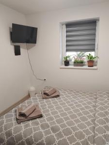 a bedroom with a bed with two towels on it at Sobe i apartman Berecz in Kopačevo +15 photos