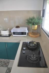 Kuchyň nebo kuchyňský kout v ubytování Toba-A-Scape