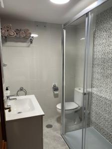 a bathroom with a toilet and a sink and a shower at Alquiler Vacacional en Ribeira in Ribeira